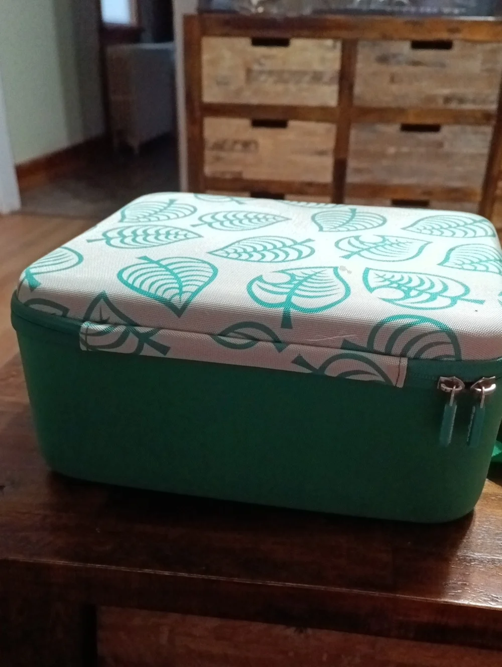 Green Leaf Animal Crossing Nintendo Switch (One) Traveling Cass